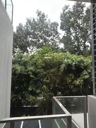 Robin Residences (D10), Condominium #605382091